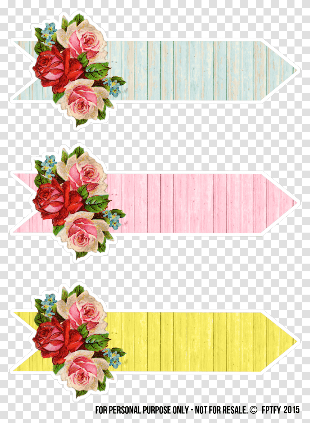 Scrapbook Design Printable Arrow Design, Plant, Flower, Blossom, Carnation Transparent Png