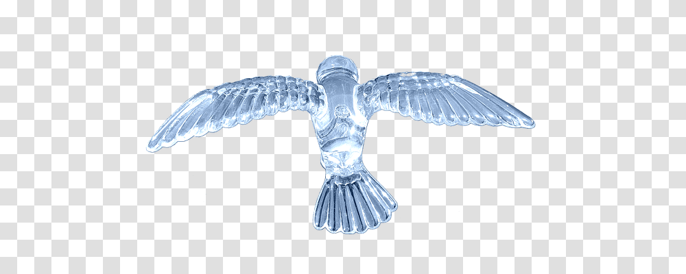 Scrapbooking Animals, Bird, Flying, Jay Transparent Png