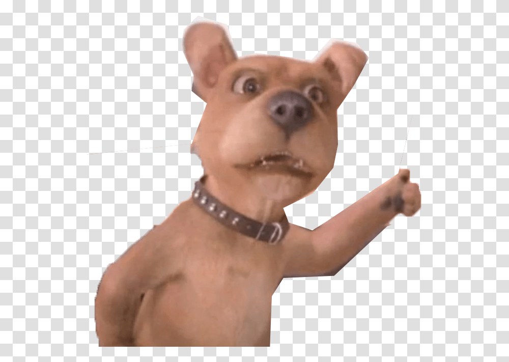 Scrappy Doo Live Action Scooby Doo Pelicula Scrappy Doo, Person, Canine, Mammal, Animal Transparent Png