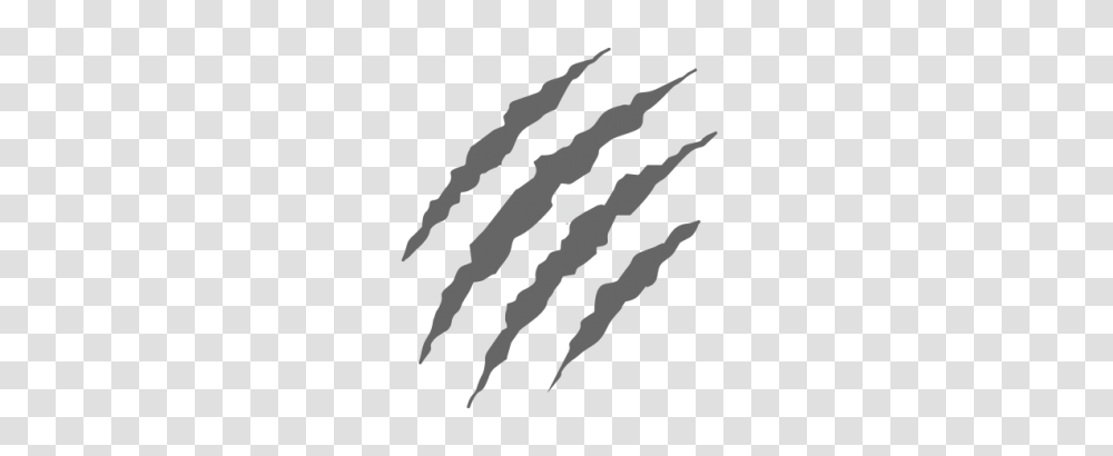 Scratches, Hook, Claw Transparent Png