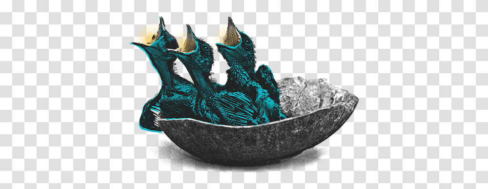 Screaming Fields Festival Earthenware, Animal, Aquatic, Water, Sea Life Transparent Png