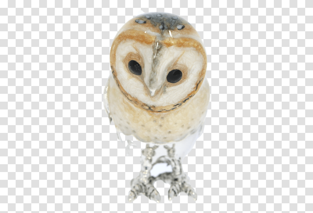 Screech Owl, Bird, Animal, Snowman, Winter Transparent Png