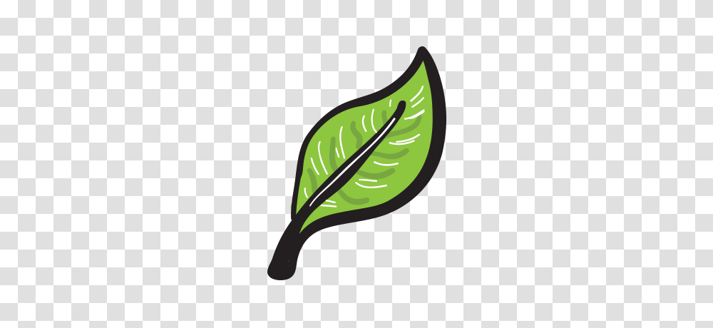 Screen Printing, Leaf, Plant, Bottle, Axe Transparent Png