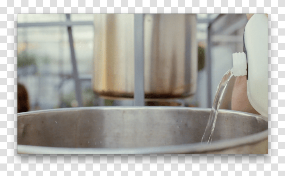 Screen Shot 2018 02 19 At Bowl, Person, Sink, Indoors, Plant Transparent Png