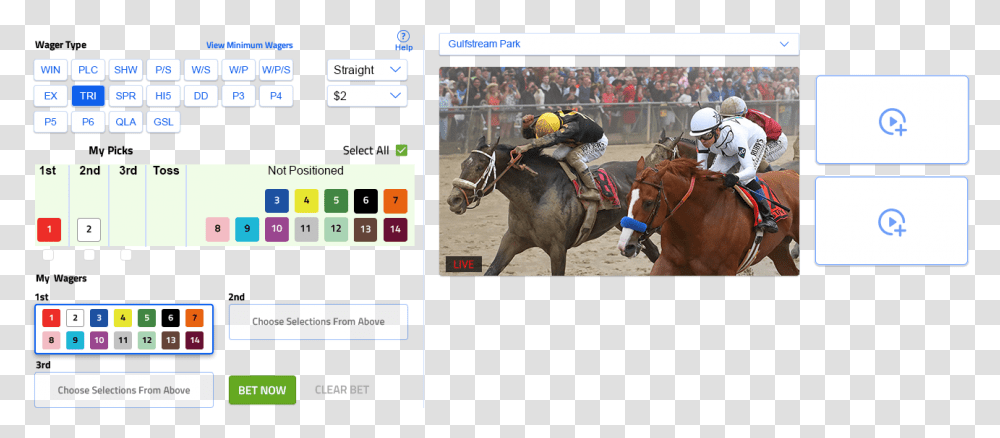 Screenshot, Horse, Mammal, Animal, Helmet Transparent Png