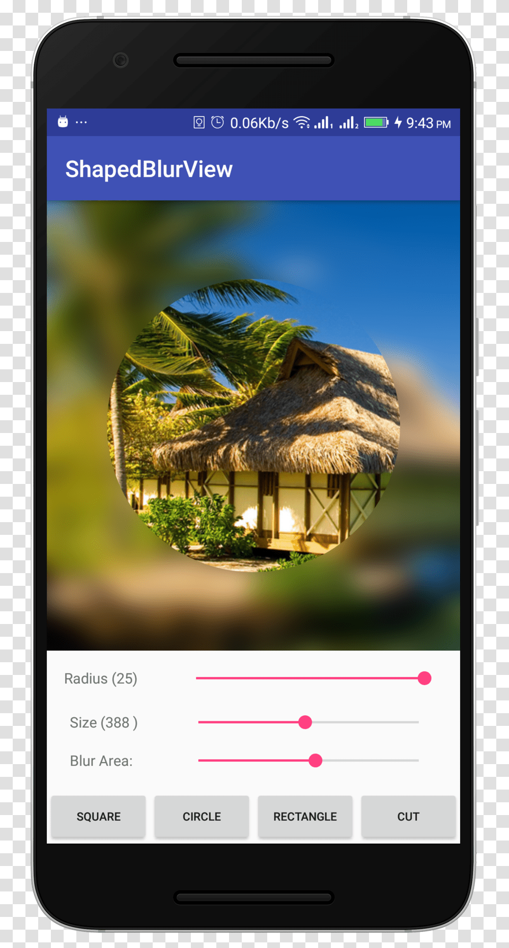 Screenshot, Mobile Phone, Bird, Tree, Plant Transparent Png