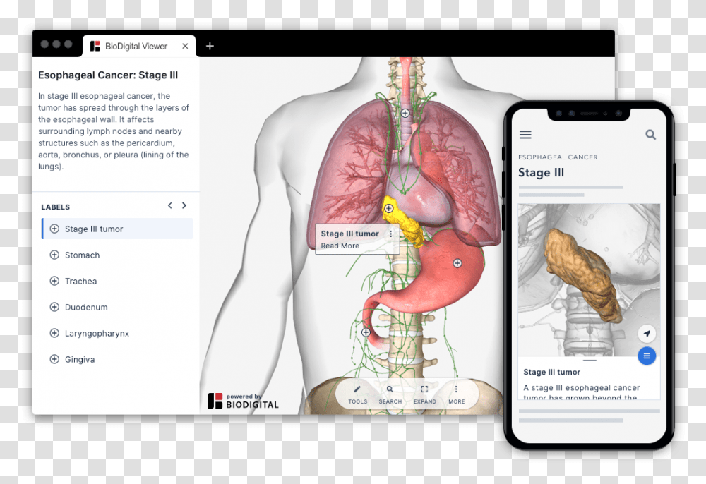 Screenshot, Mobile Phone, Electronics, Cell Phone, Plot Transparent Png