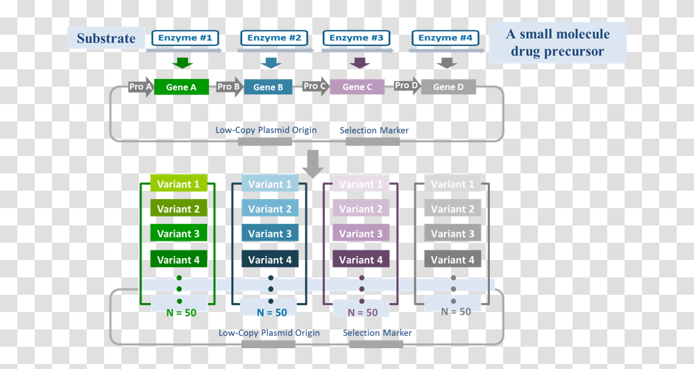 Screenshot, Scoreboard, Diagram, Plot, Plan Transparent Png