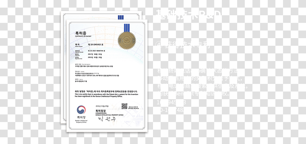 Screenshot, Diploma, Document, Driving License Transparent Png