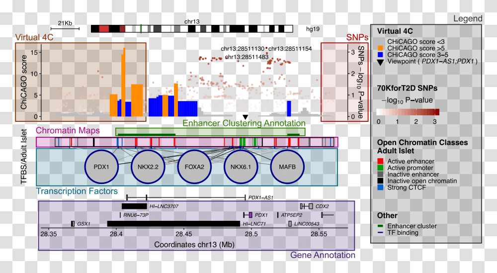 Screenshot, Scoreboard, Paper Transparent Png