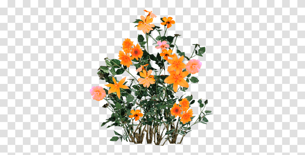 Script Library Flower Plants For Photoshop, Flower Arrangement, Acanthaceae, Geranium, Flower Bouquet Transparent Png