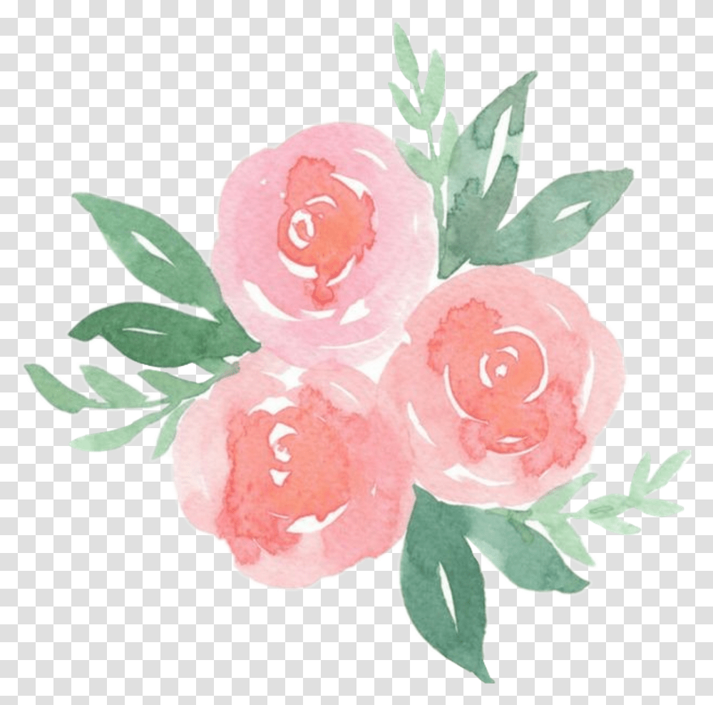 Scrose Rose Cute Aesthetic Pastel Do Watercolor Flowers, Plant, Fruit, Food, Blossom Transparent Png