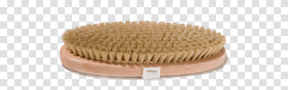 Scrubbing Brush Made Of Vegetable Hair Mugue Scrub Brush, Tool, Toothbrush Transparent Png