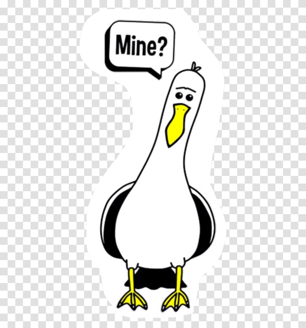 Scseagull Seagull Nemo Disney Mine Freetoedit Seagulls Meme, Label, Animal, Mammal Transparent Png