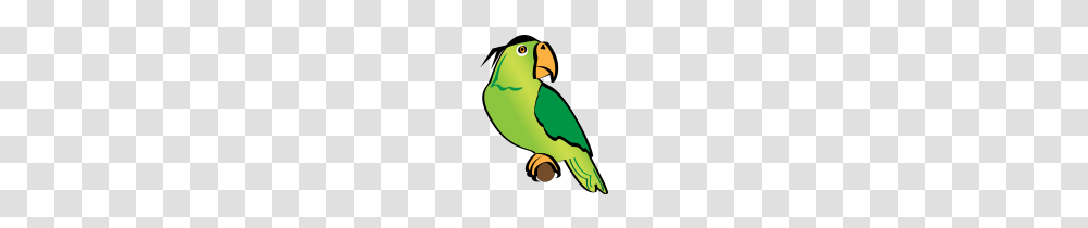 Scurvy Pirate Clip Art, Parakeet, Parrot, Bird, Animal Transparent Png