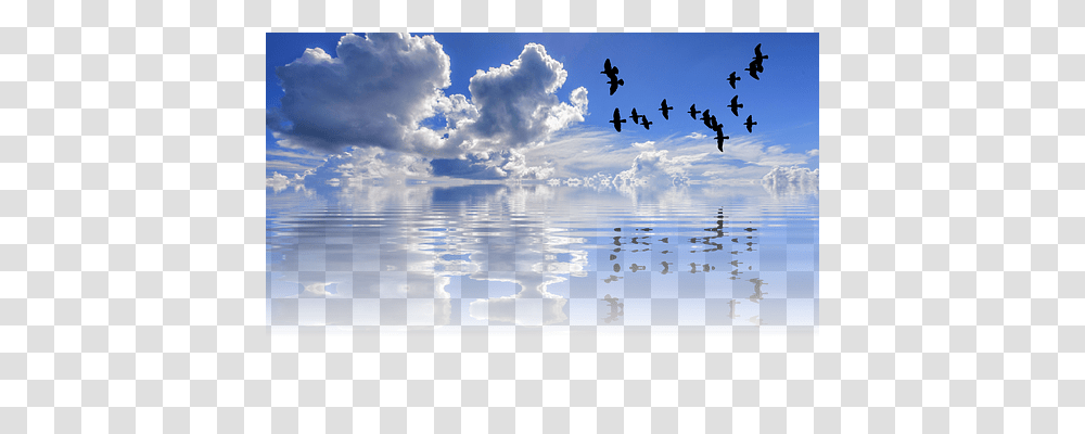 Sea Nature, Outdoors, Azure Sky, Bird Transparent Png