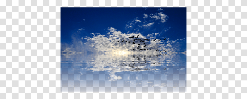 Sea Nature, Flock, Animal, Outdoors Transparent Png