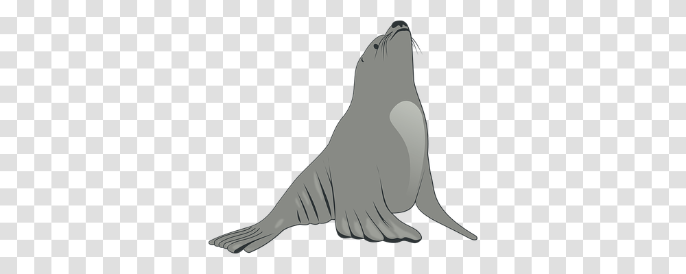 Sea Holiday, Animal, Mammal, Sea Life Transparent Png