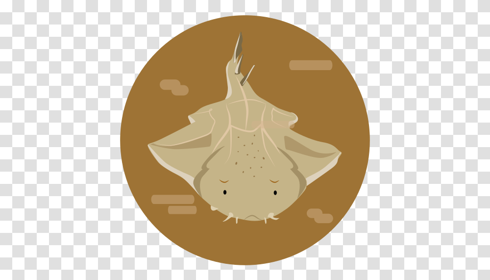 Sea Animal Fish Squatina Angelshark Illustration, Plant, Food, Vegetable, Seed Transparent Png