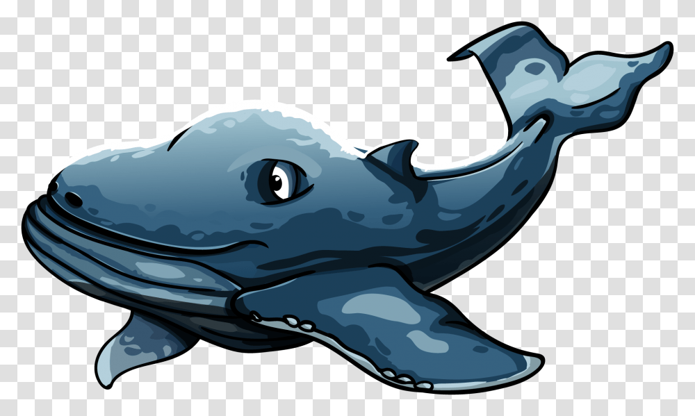 Sea Animals Animals Whale Whales, Sea Life, Mammal, Shark, Fish Transparent Png