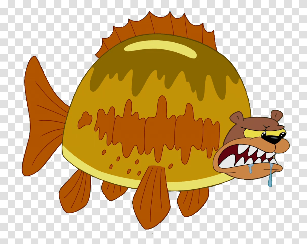 Sea Bear, Animal, Fish, Sea Life, Reptile Transparent Png