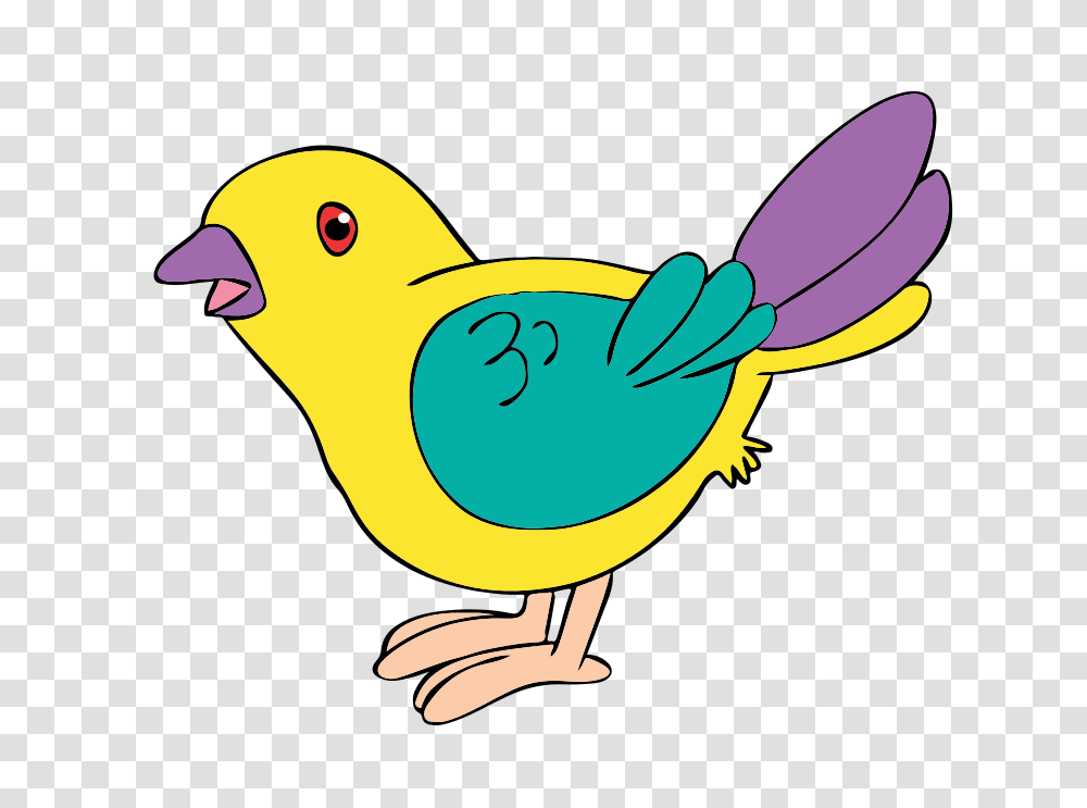 Sea Bird Clipart Cute, Animal, Canary, Finch, Chicken Transparent Png