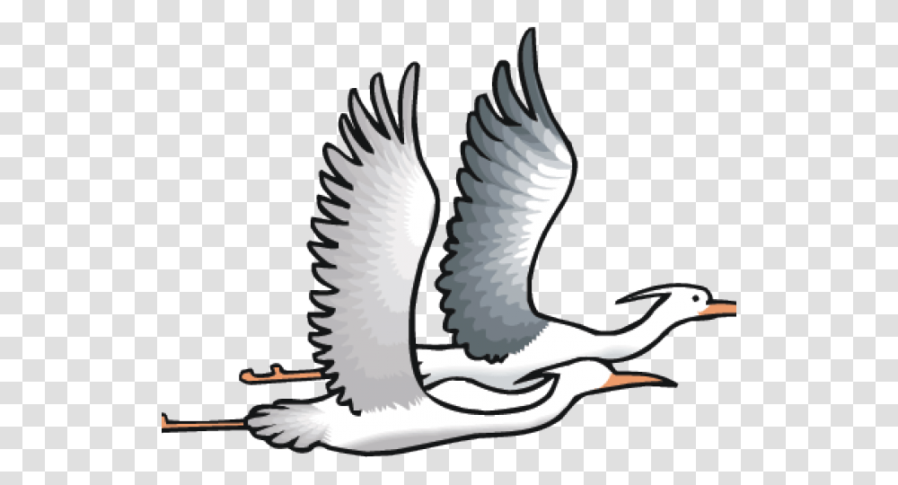 Sea Bird Clipart Dibujos De Garzas Volando, Animal, Booby Transparent Png