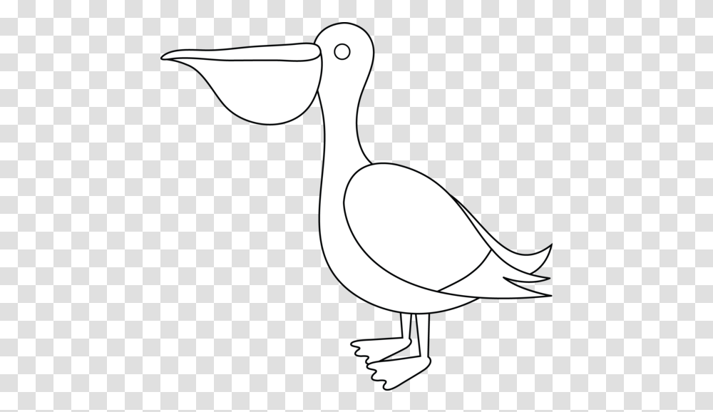 Sea Bird Outline 5 Pelican Drawing For Kids, Axe, Tool, Animal, Goose Transparent Png