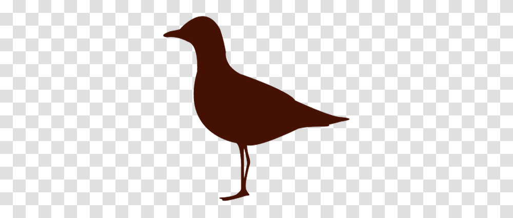 Sea Bird Silhouette Silueta De Una Ave, Animal, Partridge, Quail, Person Transparent Png