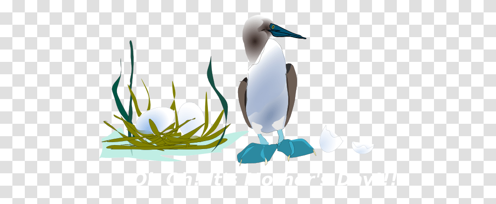Sea Bird With Nest Clip Art, Animal, Penguin, Booby Transparent Png