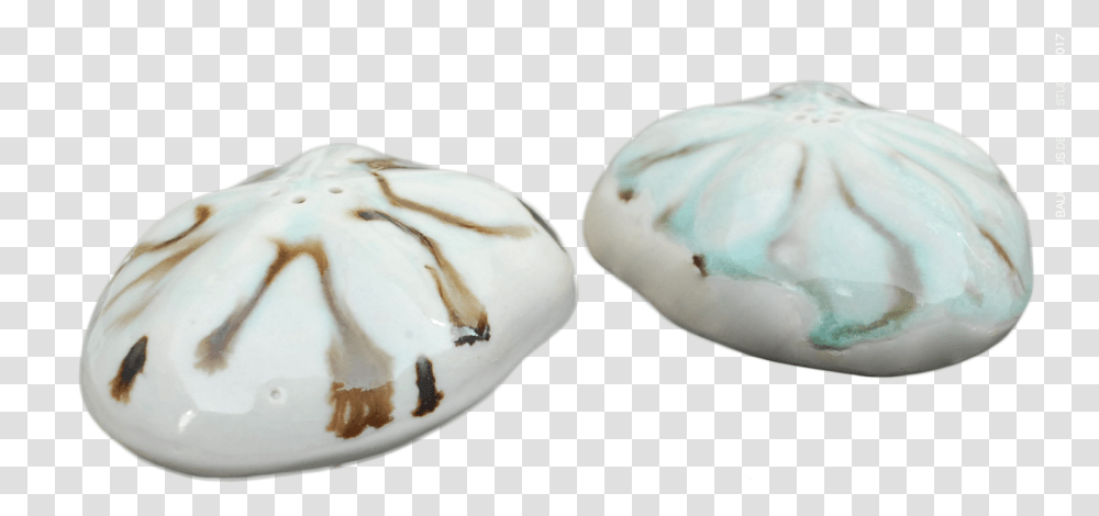 Sea Biscuit Salt Pepper Shakers Ceramic, Egg, Porcelain, Pottery Transparent Png