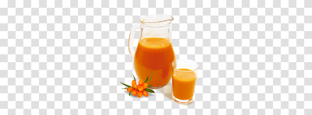 Sea Buckthorn, Nature, Juice, Beverage, Orange Juice Transparent Png