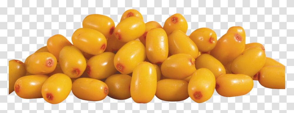 Sea Buckthorn, Nature Transparent Png