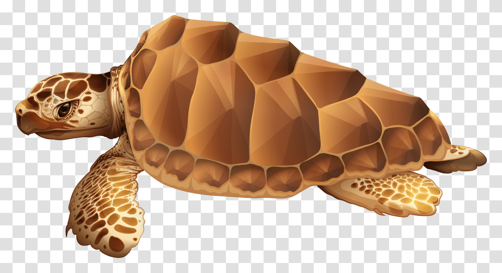 Sea Clip Art Sea Turtle Clipart Transparent Png
