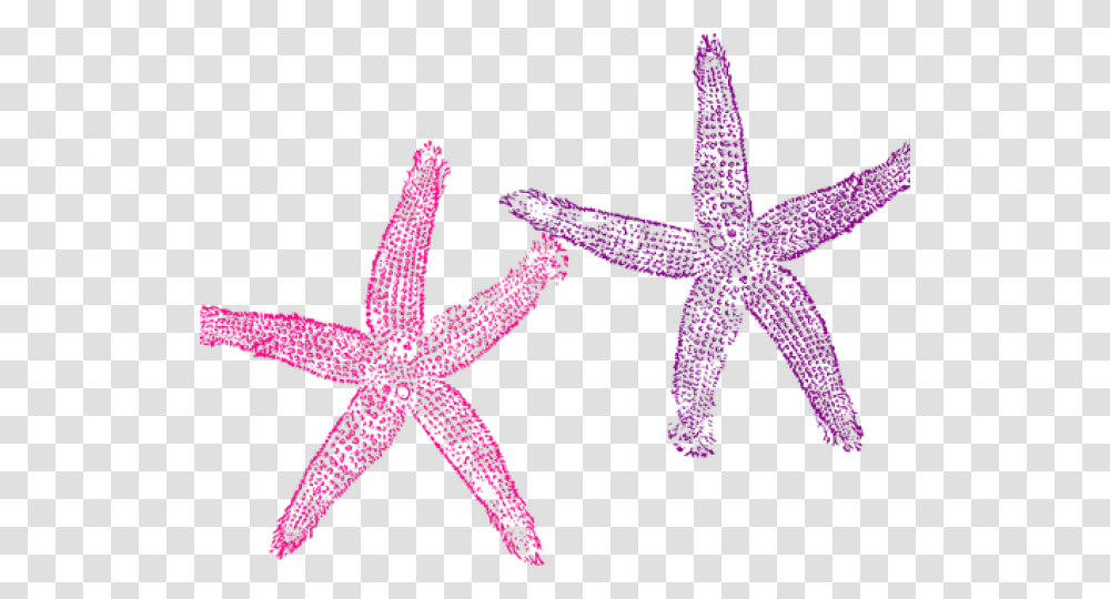 Sea Clipart Starfish Background Mermaid Clipart, Invertebrate, Sea Life, Animal, Star Symbol Transparent Png
