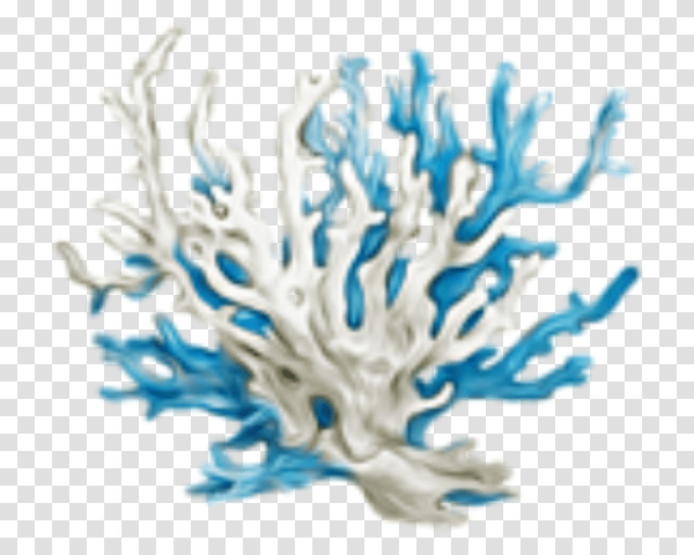 Sea Coral Download Coral, Outdoors, Water, Nature, Ocean Transparent Png