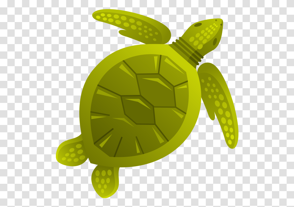 Sea Creatures Design, Tortoise, Turtle, Reptile, Sea Life Transparent Png