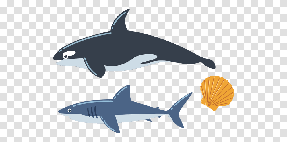Sea Creatures Images Pictures Free Download Sea Animal Vector, Sea Life, Shark, Fish, Mammal Transparent Png