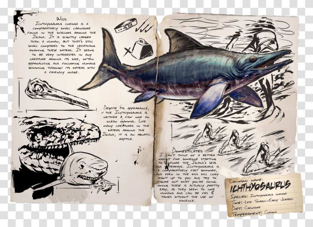 Sea Creatures In Ark, Fish, Animal, Sea Life, Swordfish Transparent Png