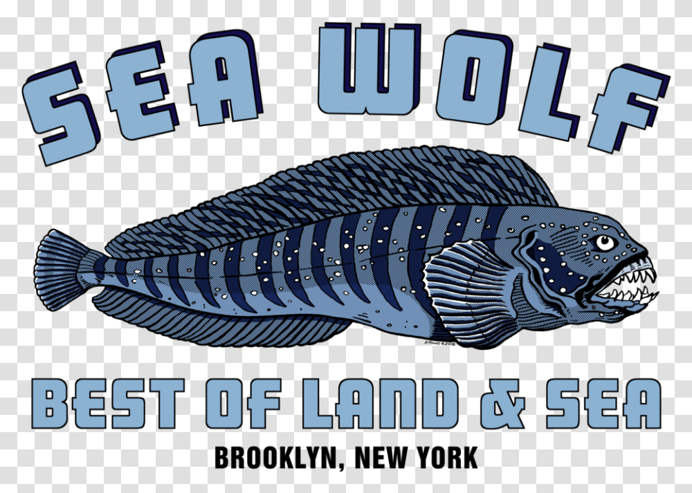Sea Fish Sea Wolves Fish, Animal, Poster, Advertisement, Word Transparent Png