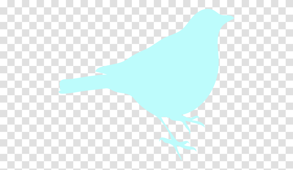 Sea Foam Blue Bird Clip Arts Download, Animal, Canary, Finch Transparent Png