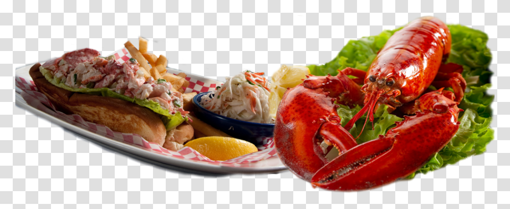 Sea Food, Lobster, Seafood, Sea Life, Animal Transparent Png