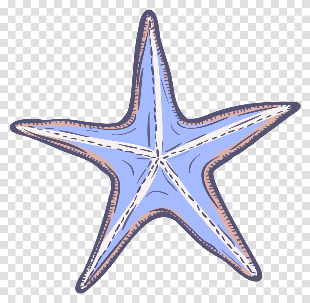 Sea Glass Collecting Tips And Techniques Jacket, Sea Life, Animal, Starfish, Invertebrate Transparent Png