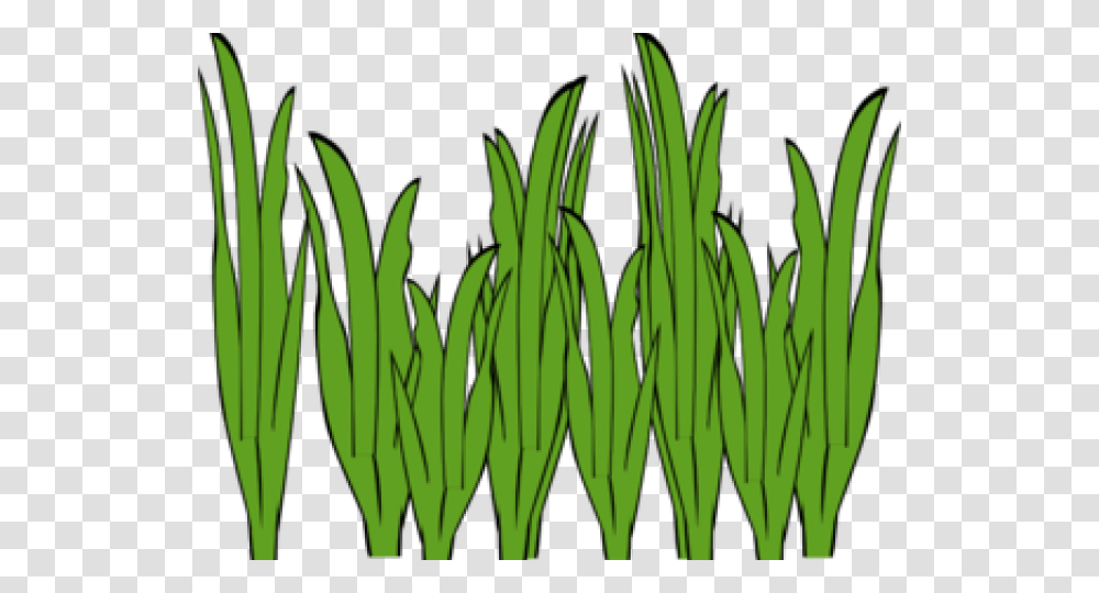 Sea Grass Clipart Garden Grass, Plant, Vegetation, Lawn, Flower Transparent Png