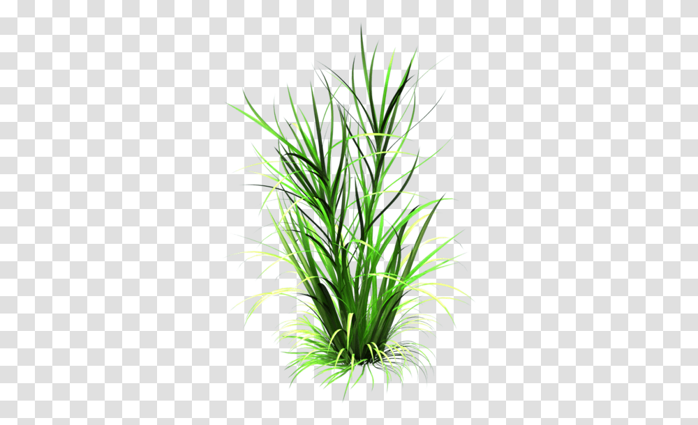 Sea Grass Clipart Grass Patch Grass Leaf Background, Plant, Flower, Vegetation, Bush Transparent Png