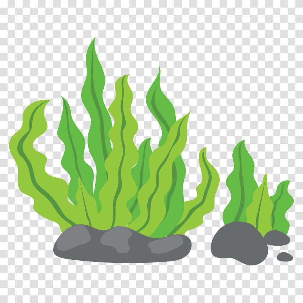 Sea Grass Clipart Kelp, Seaweed, Painting, Plant Transparent Png