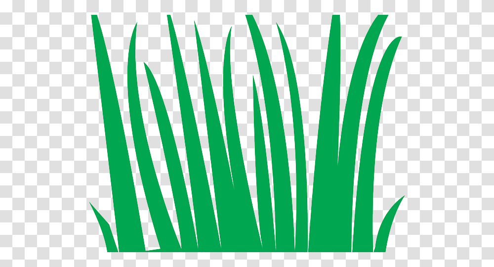 Sea Grass Clipart Ocean Plant, Spoke, Machine, Fern, Wheel Transparent Png