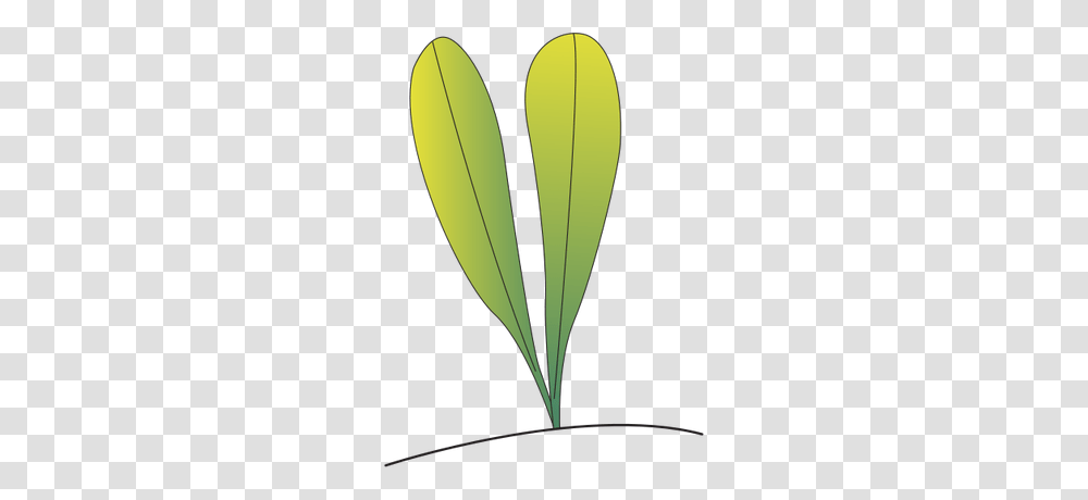 Sea Grass Clipart Vector, Hot Air Balloon, Aircraft, Vehicle, Transportation Transparent Png