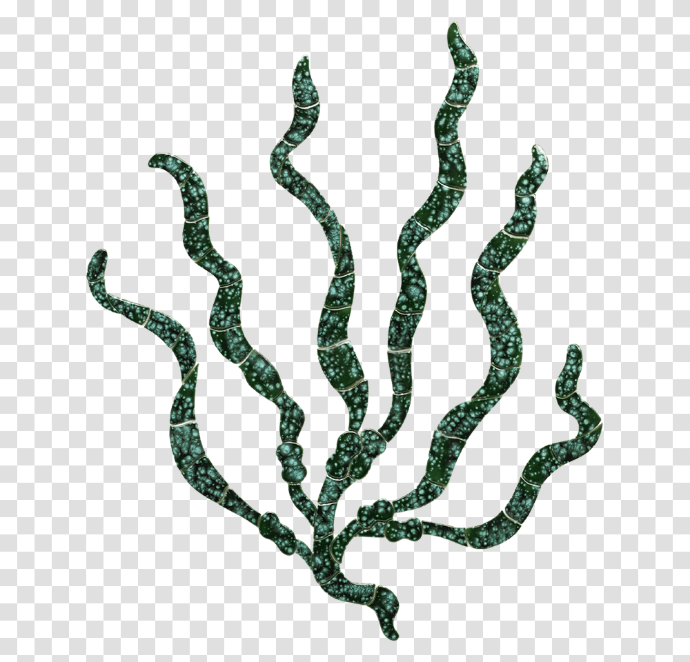 Sea Grass Sea Grass Gif, Accessories, Accessory, Bead, Ornament Transparent Png