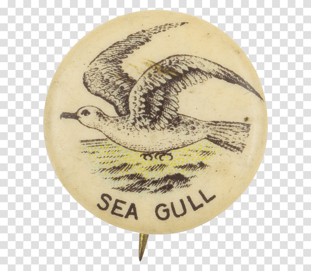 Sea Gull Advertising Button Museum Golden Eagle, Snake, Logo, Badge Transparent Png